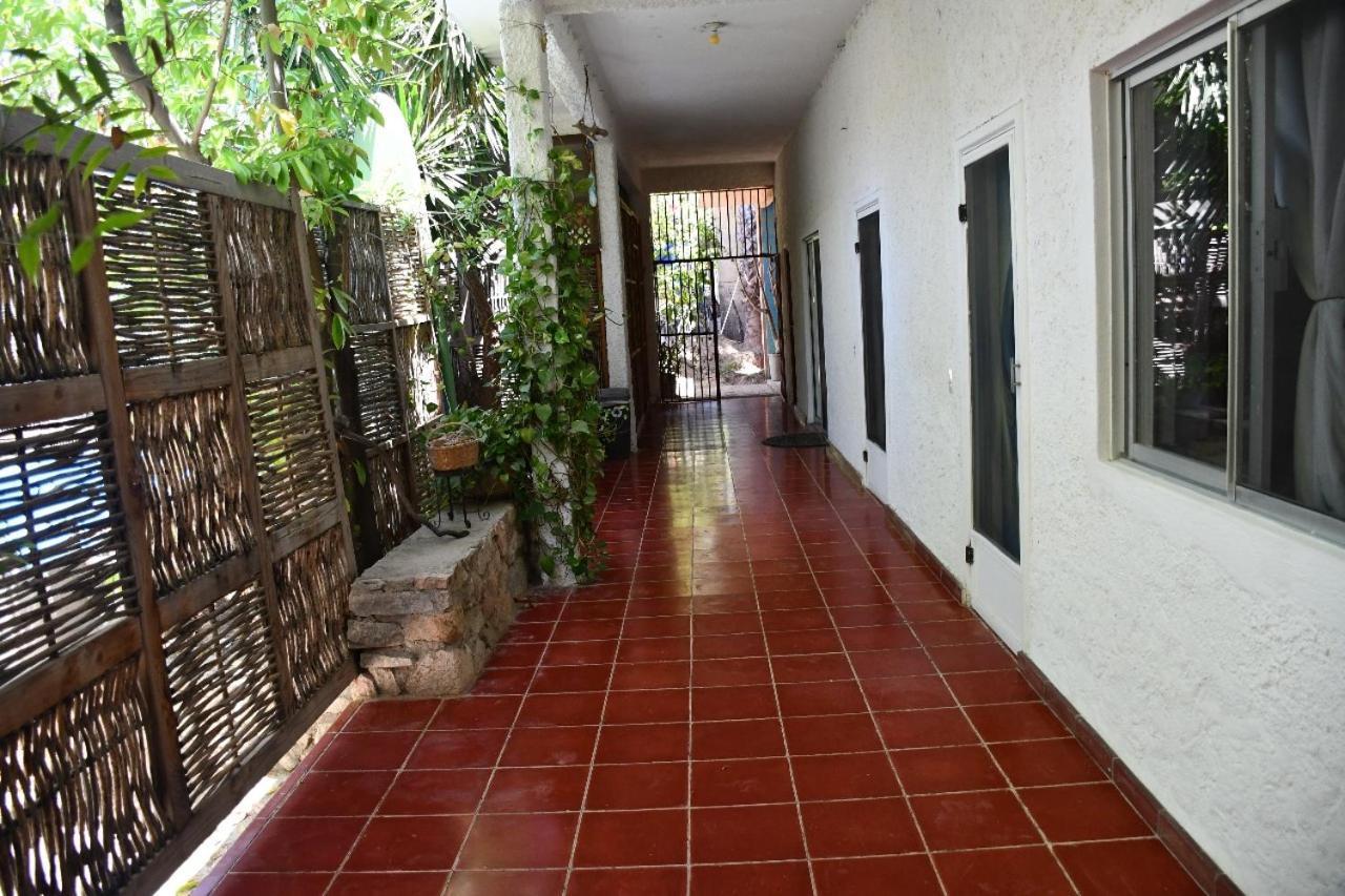 La Playita Hostal San José del Cabo Esterno foto