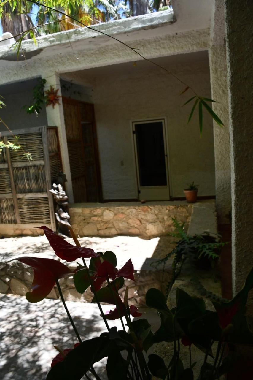 La Playita Hostal San José del Cabo Esterno foto