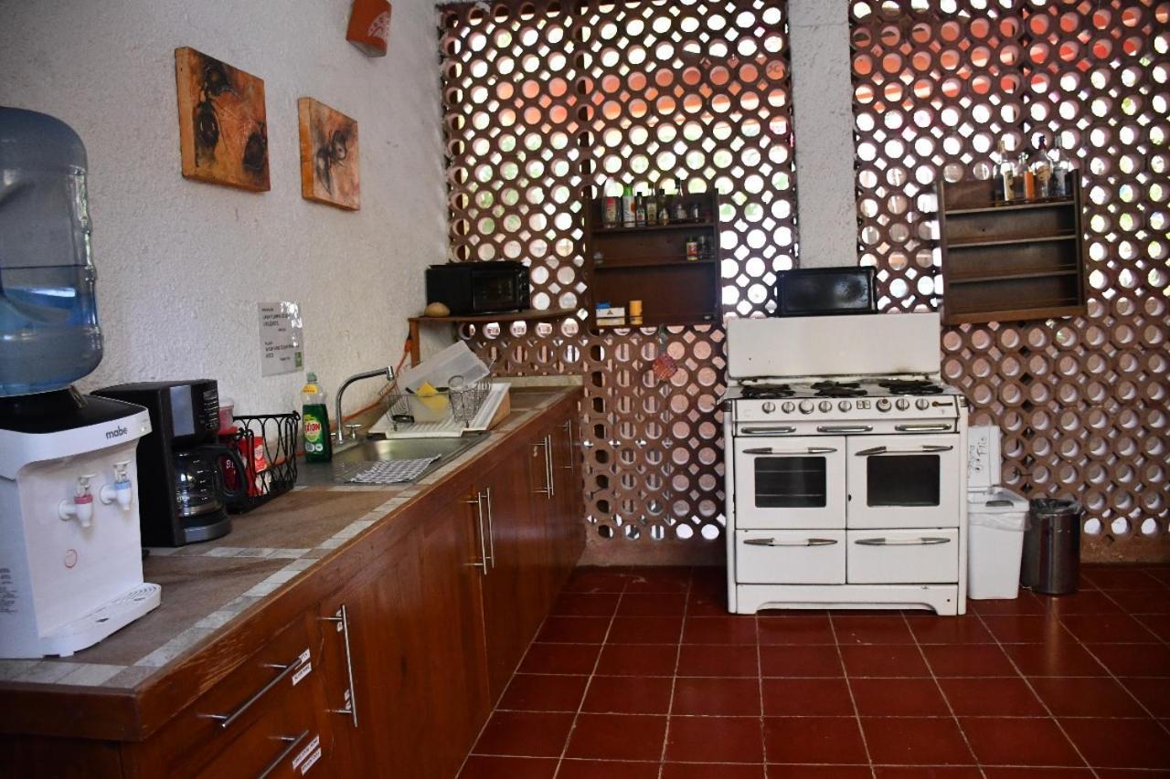 La Playita Hostal San José del Cabo Esterno foto