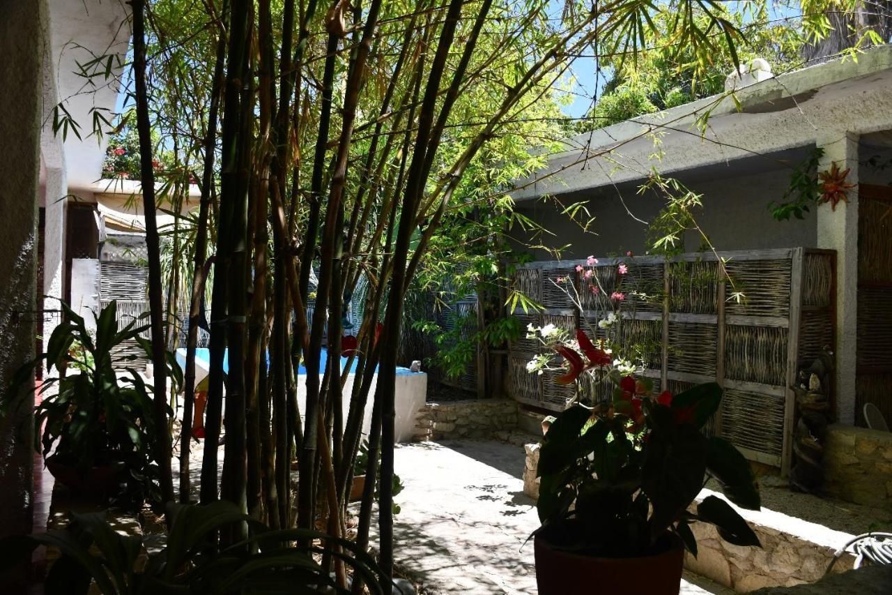 La Playita Hostal San José del Cabo Esterno foto